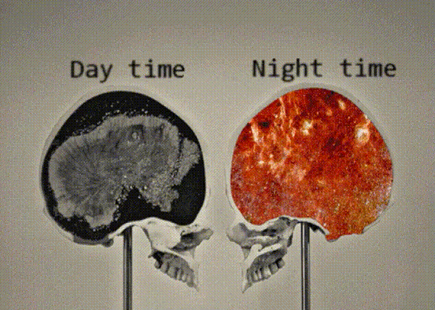19 жизненных ГИФов которые взбодрят ваш мозг