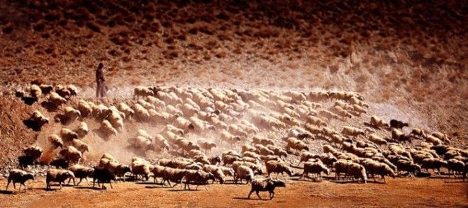 Удивительные фотографии Китая от Шэна Джин (33 Фото) Удивительные фотографии Китая от Шэна Джин (33 Фото)