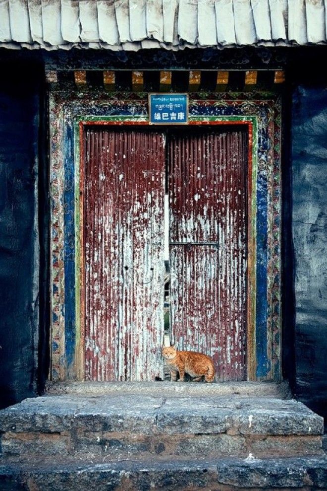 Удивительные фотографии Китая от Шэна Джин (33 Фото)