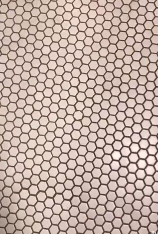 poshlo-chtoto-kogda-kartinki-smeshnye-kartinki-fotoprikoly_10169010049