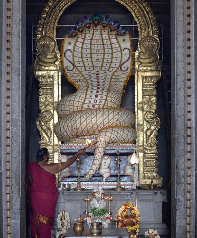 Нагапанчами индуистский праздник когда все вместо работы умасливают змей