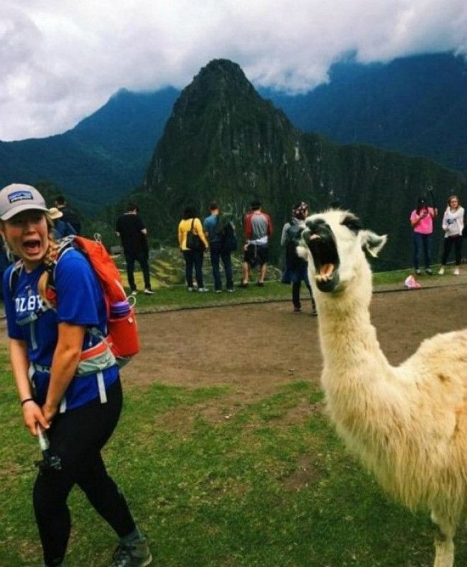 Зловещий смех