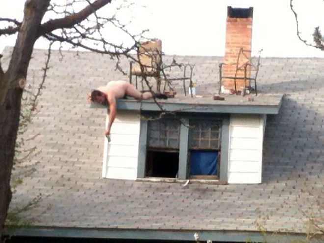 Соседи которые делают соседство еще интереснее