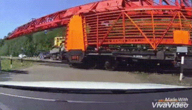 16 людей которые сами не знают что вытворяют