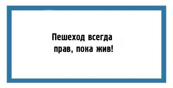 16 юмористических открытокнаблюдений для поднятия настроения