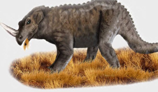 Имелантоука Чтото вроде носорога пугавшего наивных членов племени Лингала проживавших в Центральной Африке Огромное существо обитало у воды и нападало на местных жителей исключительно во время полнолуния Все остальные дни месяца Лингала молились зверю оставляя на берегу человеческие жертвоприношения