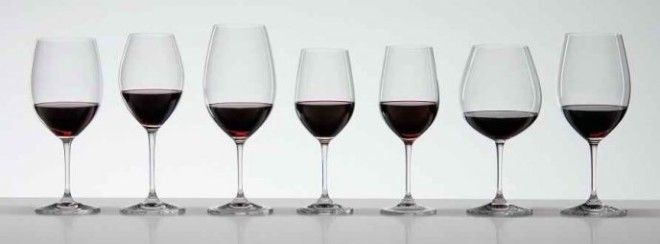 In vino veritas 5 правил дегустации вина