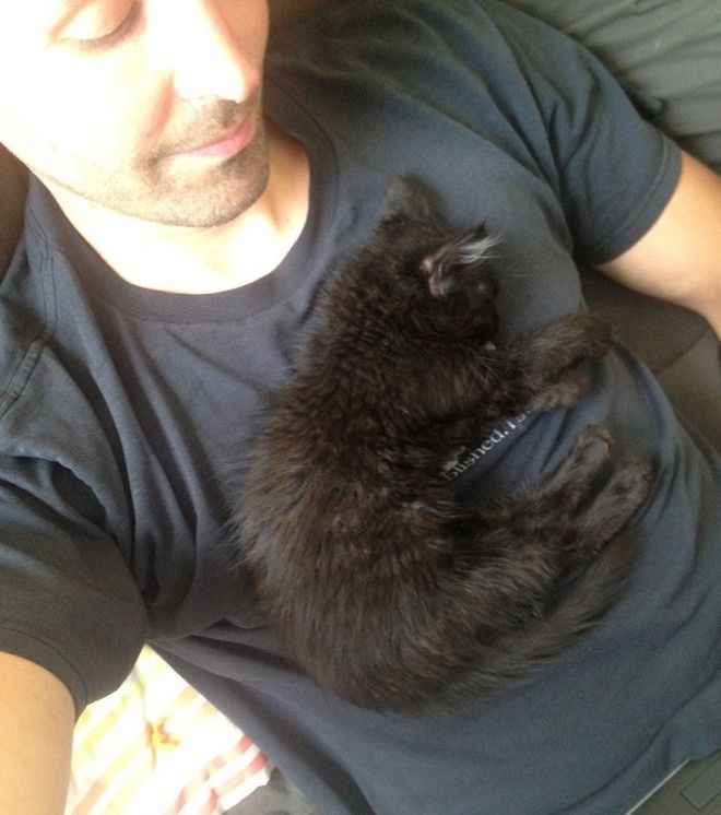 Кошкаальпинистка