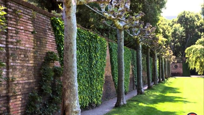 Невероятны сады филоли которые не оставят вас равнодушными