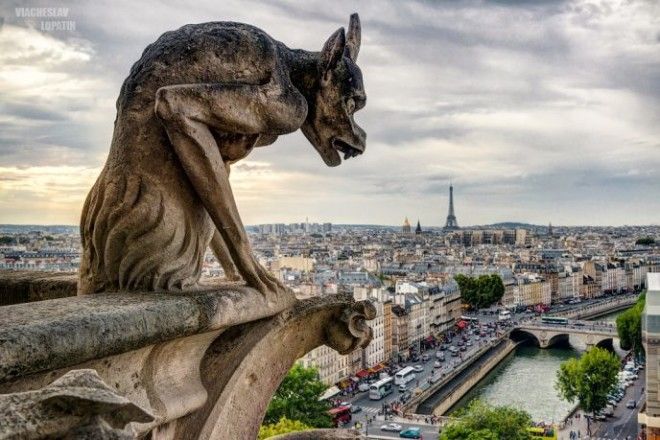 10 фактов о Соборе Парижской Богоматери которые должен знать каждый