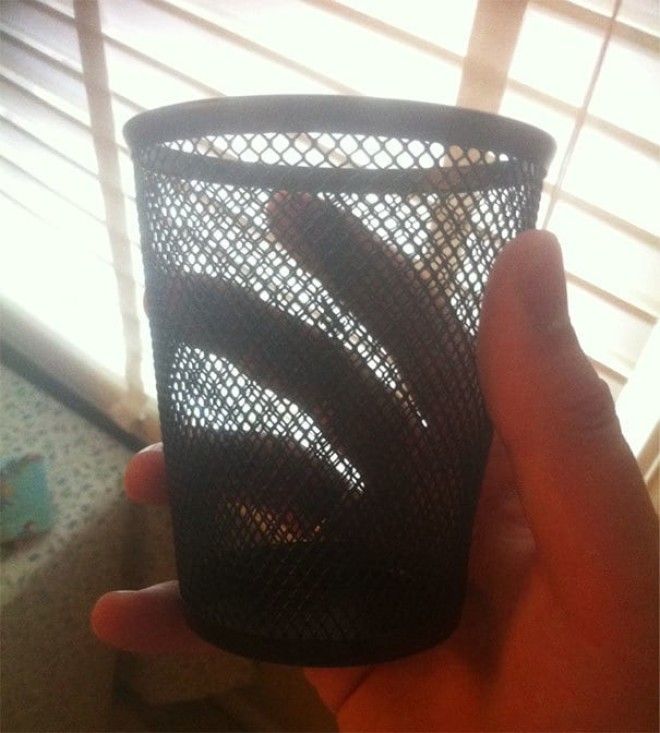 15 маминых шуток которые достойны премии