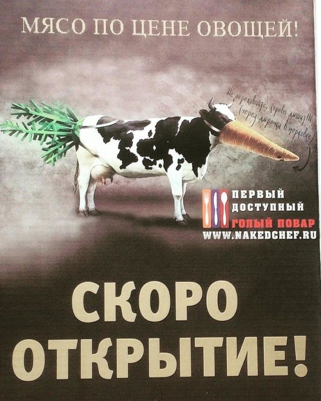 17 таких заманчивых рекламных предложений что вы аж прослезитесь