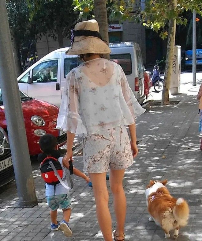 20 избалованных собак которые живут лучше чем все мы