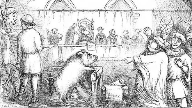 8 вводящих в ступор вещей которые происходили в Средние века