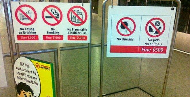 7 национальных особенностей жителей Сингапура, которые нам не понять национальные особенности жителей Сингапура всё о сингапуре