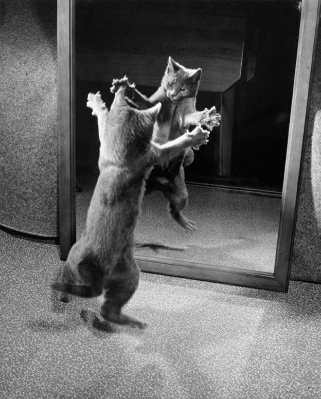 20 неопубликованных фотографий из архивов National Geographic неопубликованные фотографии National Geographic National Geographic Found