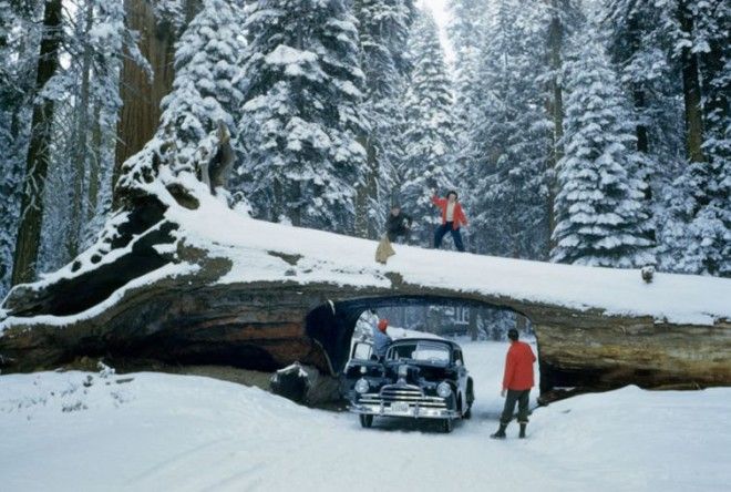20 неопубликованных фотографий из архивов National Geographic неопубликованные фотографии National Geographic National Geographic Found