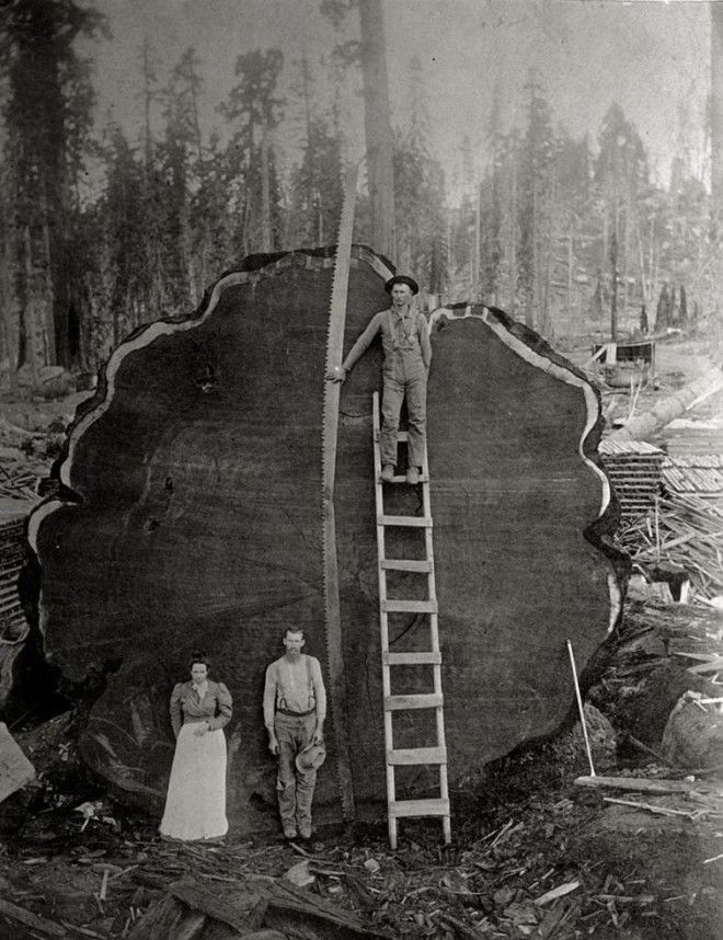 20 неопубликованных фотографий из архивов National Geographic неопубликованные фотографии National Geographic National Geographic Found