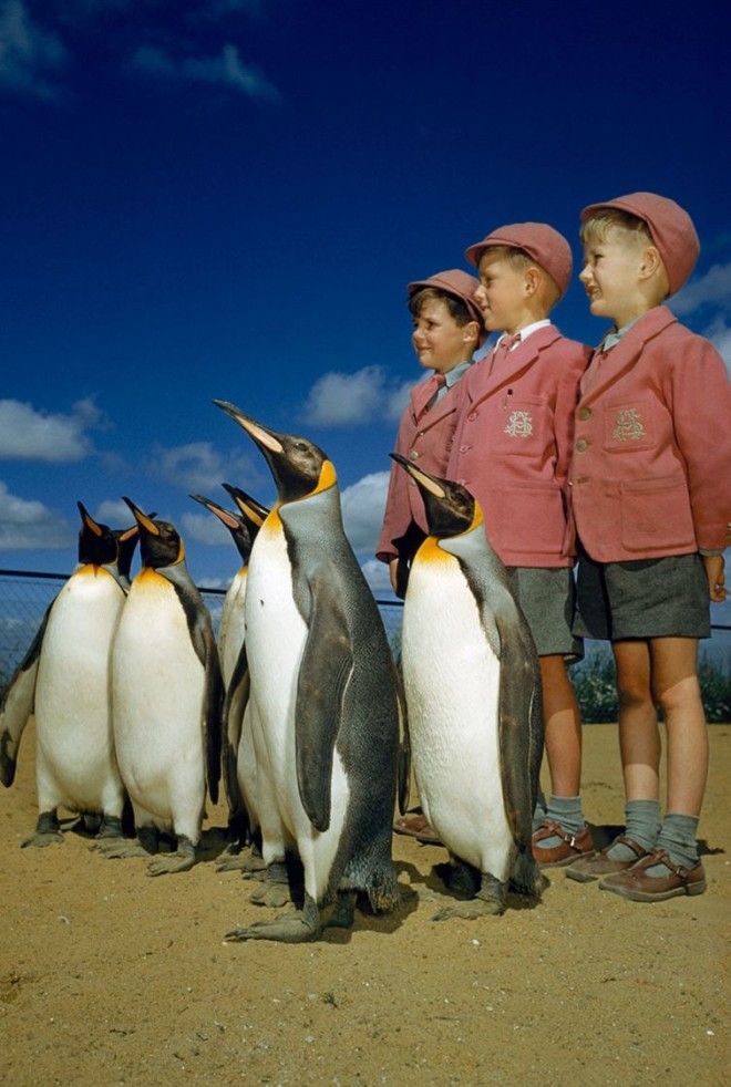 20 неопубликованных фотографий из архивов National Geographic неопубликованные фотографии National Geographic National Geographic Found