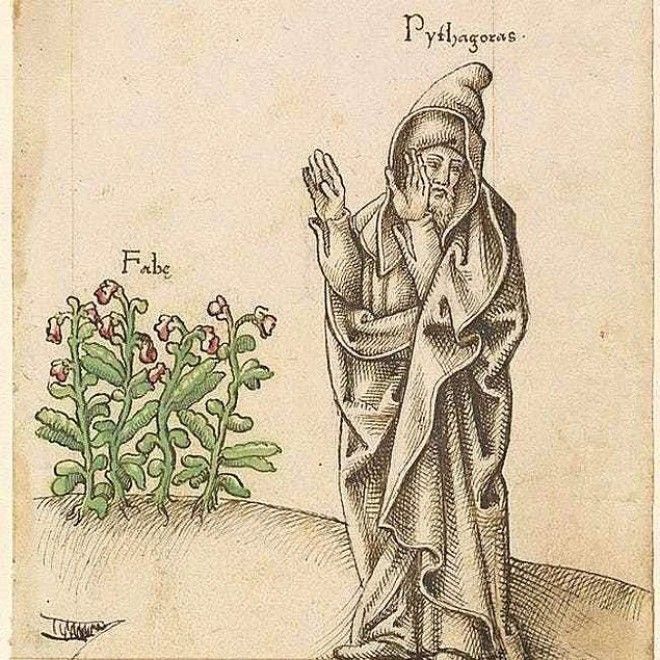 5 шокирующих фактов о Пифагоре и его последователях