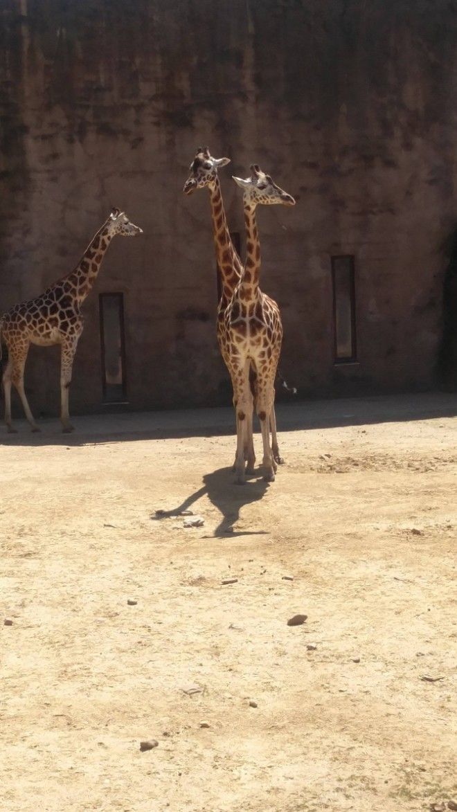 25 фотографий на которые стоит взглянуть во второй раз