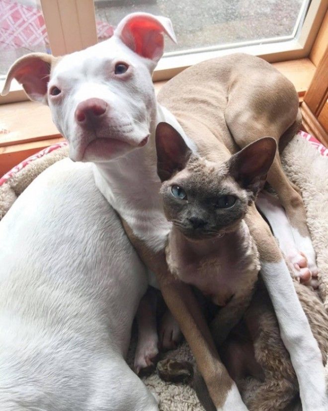 25 фотографий на которые стоит взглянуть во второй раз