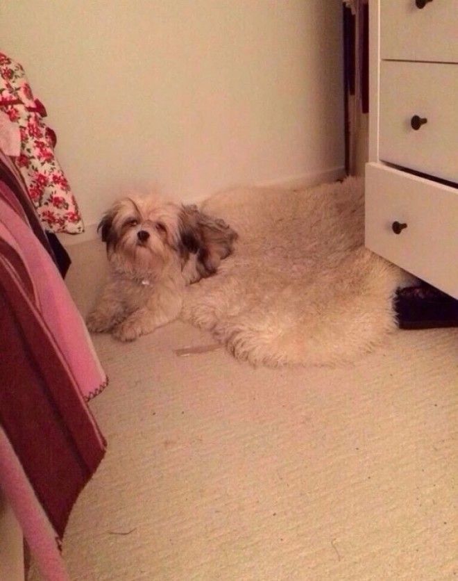 25 фотографий на которые стоит взглянуть во второй раз