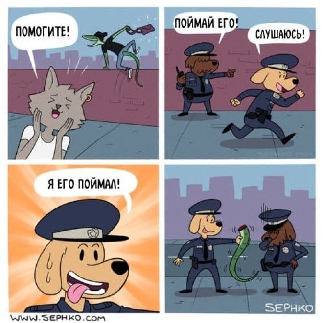 12 крутых и очень правдивых комиксов о нашей с вами жизни