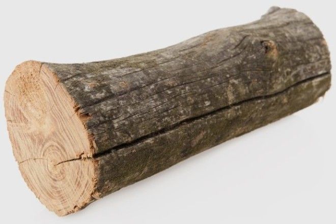 Картинки по запросу