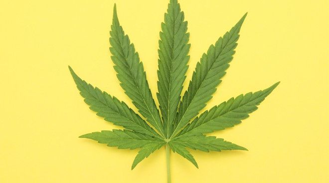 Самые странные и даже безумные криптовалюты мира