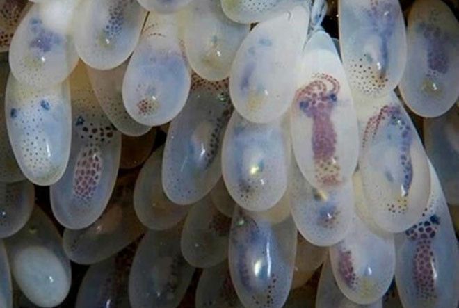 Интересные и познавательные фотографии