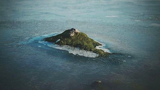 25 фото на которые придется посмотреть дважды чтобы понять что происходит