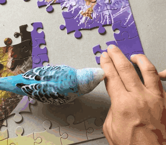 25 уморительных животных которые ведут себя как настоящие мерзавцы