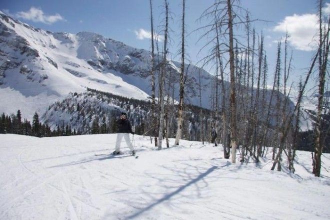 идеальные совпадения рай перфекциониста совпадение фото совпадение картинка