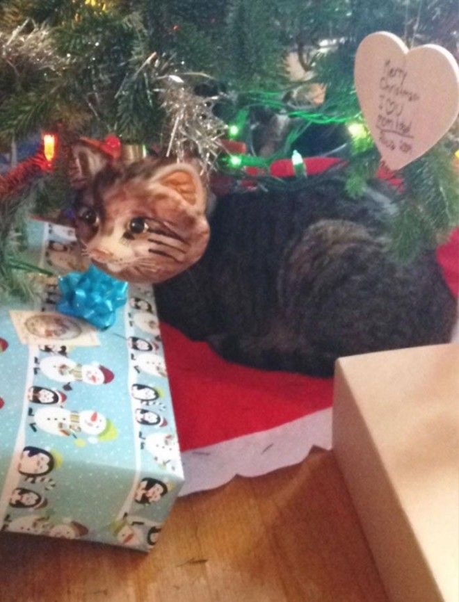 идеальные совпадения рай перфекциониста совпадение фото совпадение картинка