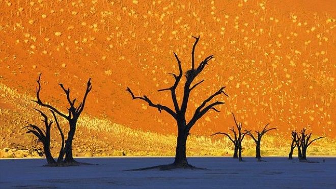 25 фото на которые придется посмотреть дважды чтобы понять что происходит