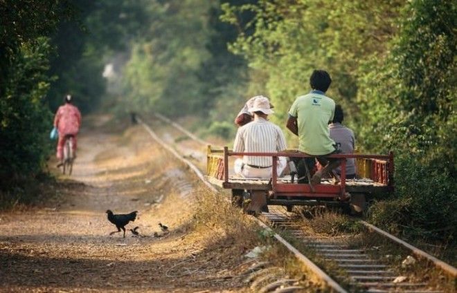 Завораживают и пугают бамбуковые поезда