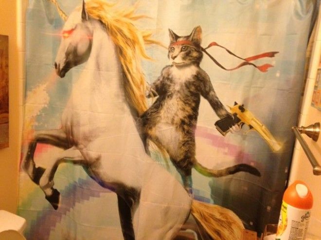 15 удивительных шторок для ванной которые вызовут у вас недоумение и смех