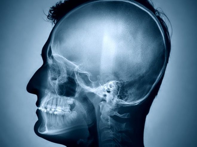 О чем нам врали учителя в школе