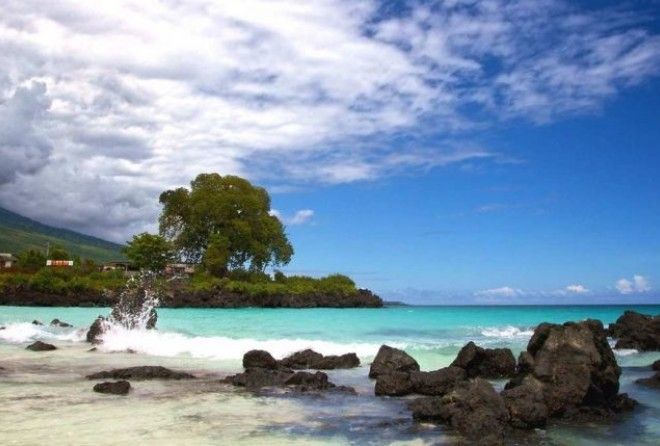 Отличная идея для путешественников ;-)