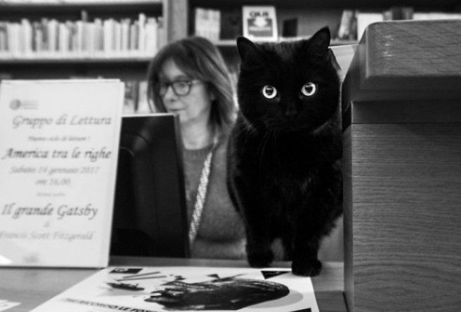 Без них никуда :-)