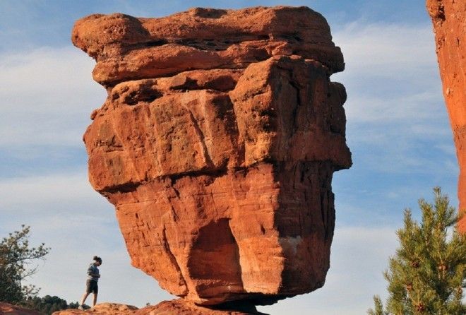 Вот на какие чудеса способна Природа!