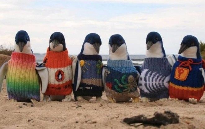 Как же это мило! :-)