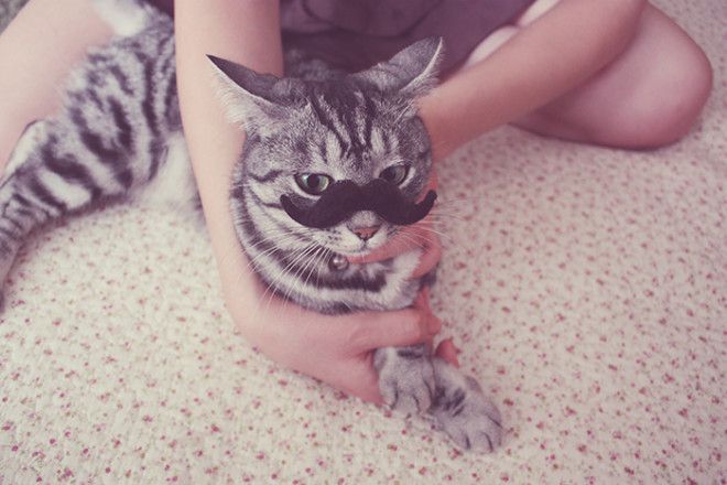 Хороший вопрос!