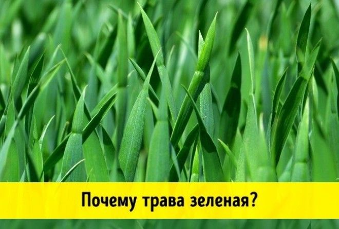 Это просто чертовски интересно