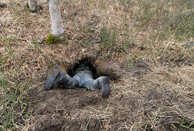 Где мишки спят