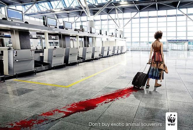 Хорошая социальная реклама всегда рассказывает нам о том, о чем общество привыкло молчать. 