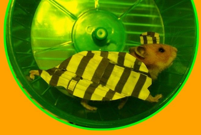 Это поражает!