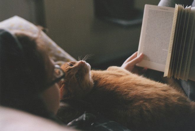 Не забывайте перелистнуть пару страниц перед сном!