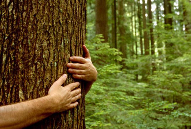 Для тех, кому природа важнее шезлонга у бассейна